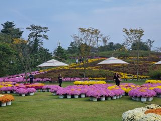 팜모닝회원 정정섭 님의 자유주제 · 사진전 작성글 사진