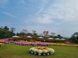 팜모닝회원 정정섭 님의 자유주제 · 사진전 작성글 사진