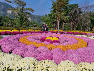팜모닝회원 정정섭 님의 자유주제 · 사진전 작성글 사진