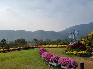 팜모닝회원 정정섭 님의 자유주제 · 사진전 작성글 사진