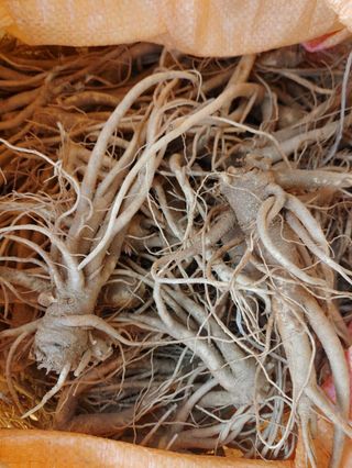 이현상님의 작성글 사진