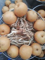 팜모닝 · 게시글 이미지