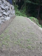 팜모닝 시금치·영농일지 게시글 이미지