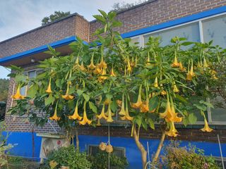 엘림농장님의 자유주제 · 사진전 작성글 사진