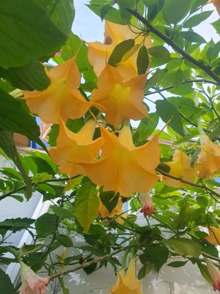 엘림농장님의 자유주제 · 사진전 작성글 사진