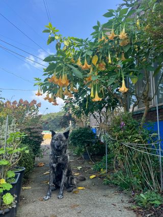 엘림농장님의 자유주제 · 사진전 작성글 사진