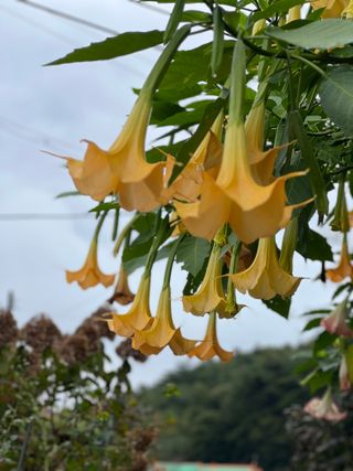 엘림농장님의 자유주제 · 사진전 작성글 사진