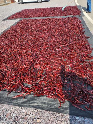 김연후님의 자유주제 · 자유게시판 작성글 사진