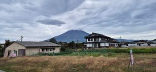 달맛햇복숭아농원님의 자유주제 · 자유게시판 작성글 사진