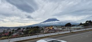 달맛햇복숭아농원님의 자유주제 · 자유게시판 작성글 사진