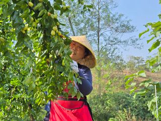 알 수 없음님의 기타작물 · 영농일지 작성글 사진