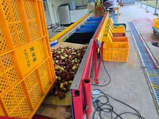 알 수 없음님의 기타작물 · 영농일지 작성글 사진