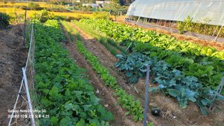 임붕철님의 작성글 사진