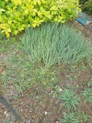 김인태님의 사과 · 일상 작성글 사진