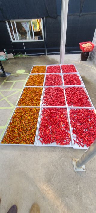 정진해님의 자유주제 · 자유게시판 작성글 사진