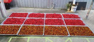 정진해님의 자유주제 · 자유게시판 작성글 사진