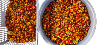 정진해님의 자유주제 · 자유게시판 작성글 사진