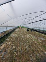 팜모닝 자유주제·자유게시판 게시글 이미지