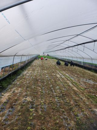 조일현님의 자유주제 · 자유게시판 작성글 사진