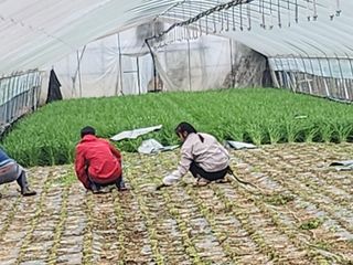 조일현님의 자유주제 · 자유게시판 작성글 사진