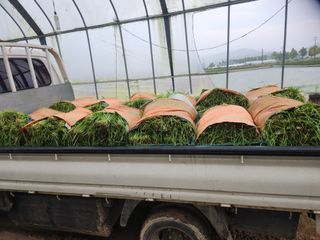 조일현님의 자유주제 · 자유게시판 작성글 사진