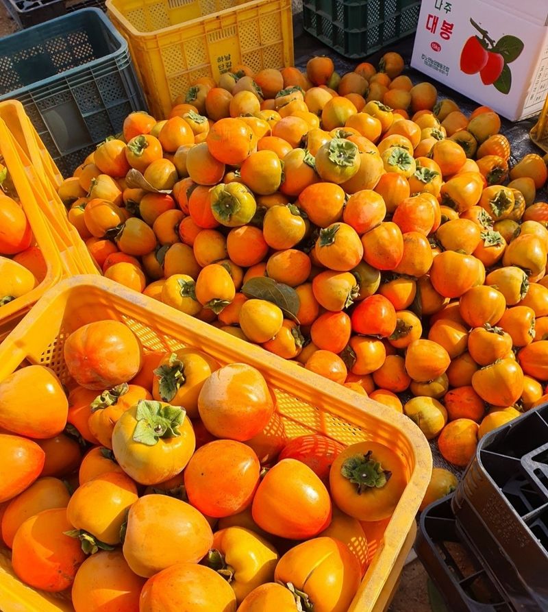 참깨20008님의 장터 판매 상품 [대봉감 10Kg] 첨부 사진