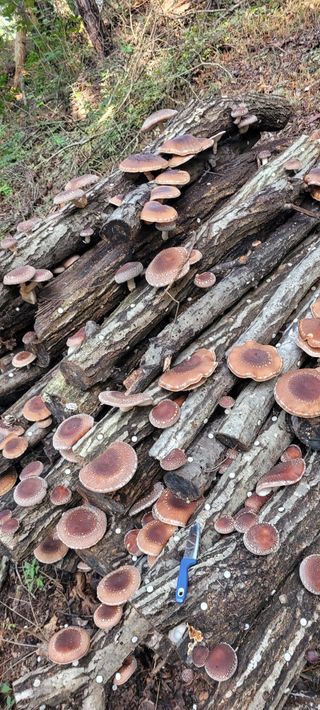 권성현 님의 자유주제 · 자유게시판 작성글 사진