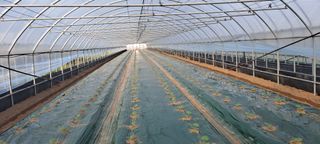 박춘서님의 자유주제 · 자유게시판 작성글 사진