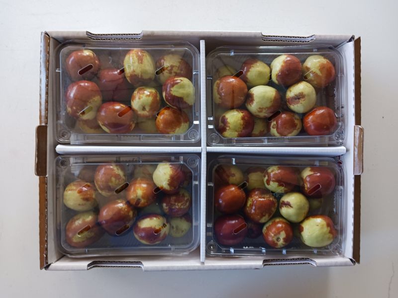 장터 상품 [사과대추중소형과2kg] 썸네일