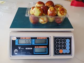 정원대추농원님의 작성글 사진