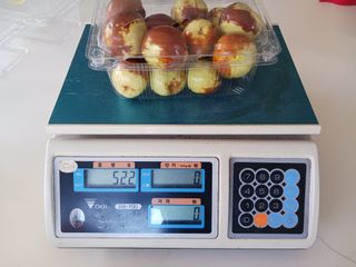 정원대추농원님의 작성글 사진