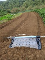 팜모닝 마늘·영농일지 게시글 이미지