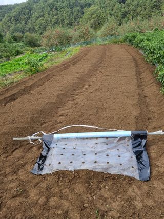 윤장희님의 마늘 · 영농일지 작성글 사진