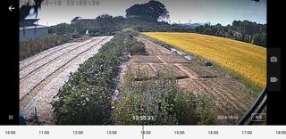 동읍초보임화영님의 마늘 · 영농일지 작성글 사진