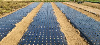 정진해님의 자유주제 · 자유게시판 작성글 사진