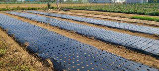 정진해님의 자유주제 · 자유게시판 작성글 사진