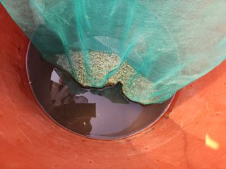 아침못자연농원님의 마늘 · 영농일지 작성글 사진