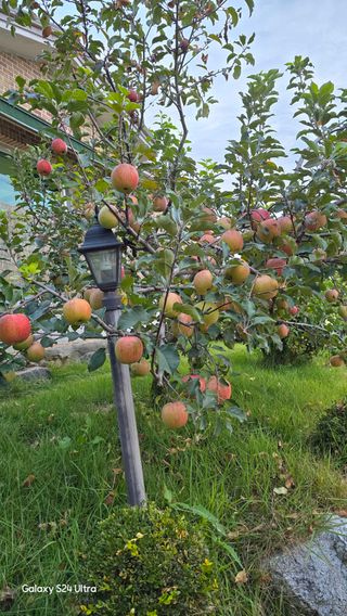 홍성부님의 자유주제 · 자유게시판 작성글 사진