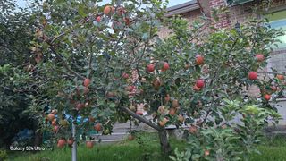 홍성부님의 자유주제 · 자유게시판 작성글 사진