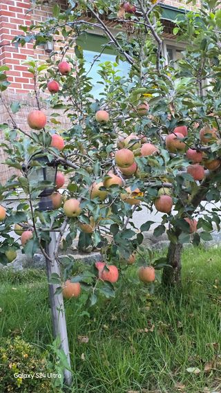 홍성부님의 자유주제 · 자유게시판 작성글 사진