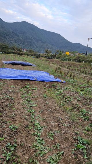 임상근님의 콩 · 영농일지 작성글 사진