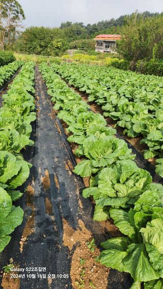 趙吉衍님의 자유주제 · 자유게시판 작성글 사진