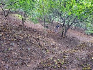 홍가네수정농장님의 기타작물 · 영농일지 작성글 사진