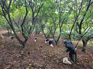홍가네수정농장님의 기타작물 · 영농일지 작성글 사진