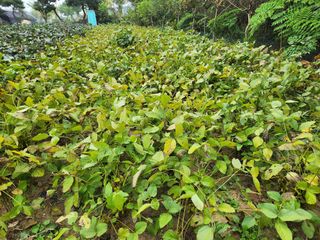 남광님의 자유주제 · 자유게시판 작성글 사진