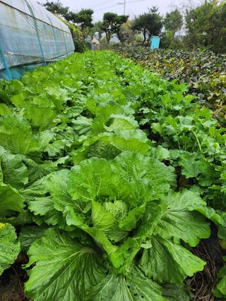 남광님의 자유주제 · 자유게시판 작성글 사진