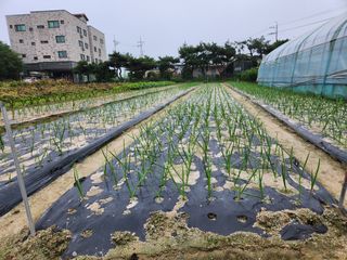 남광님의 자유주제 · 자유게시판 작성글 사진