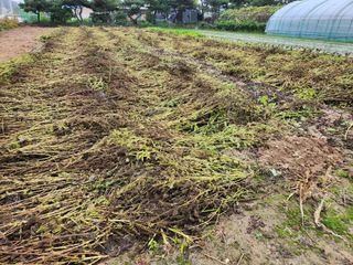 남광님의 자유주제 · 자유게시판 작성글 사진