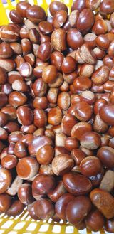 팜모닝 가을 농사 후 토양 어떻게 관리하세요?·참여글 게시글 이미지