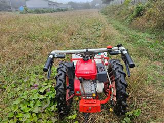 (주)연리지윤태금님의 고구마 · 영농일지 작성글 사진